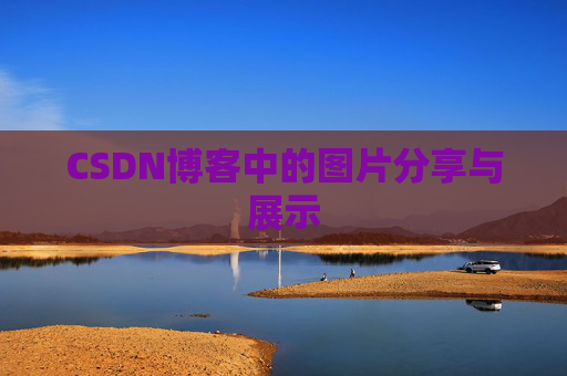 CSDN博客中的图片分享与展示